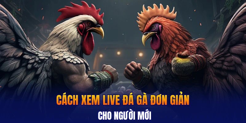 Cách xem live đá gà đơn giản cho người mới