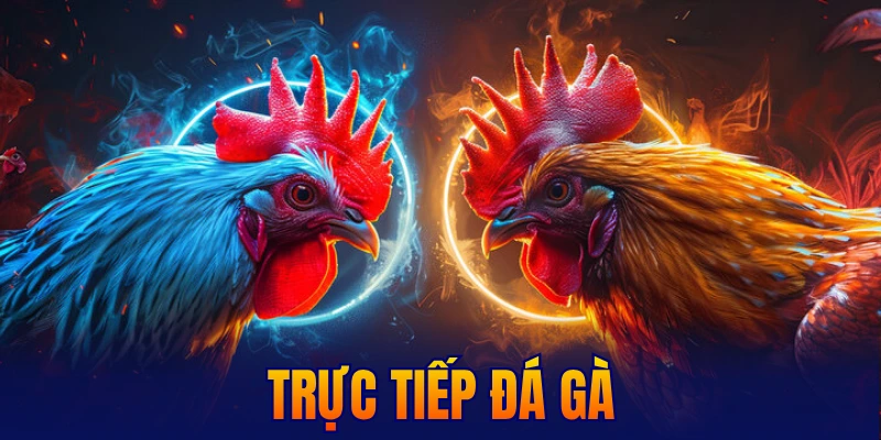 Trực tiếp đá gà